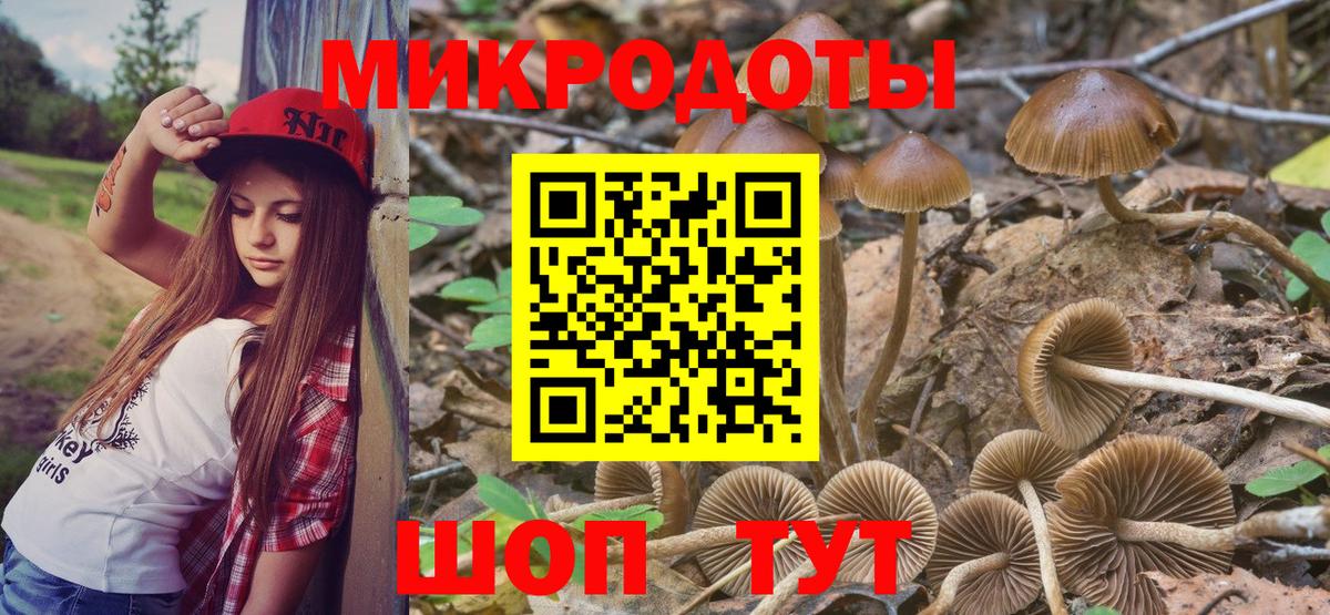 Галлюциногенные грибы мицелий  Вход с VPN  Нерюнгри 