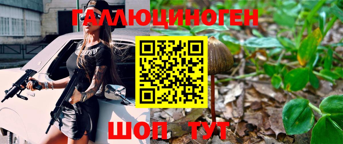 Псилоцибиновые грибы прущие грибы Нерюнгри